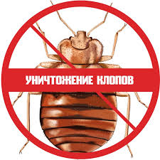 Клопы