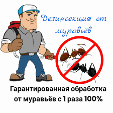 Тараканы и муравьи